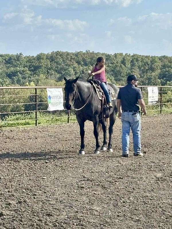 calf-roping-quarter-horse
