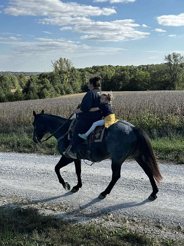 kid-safe-quarter-horse