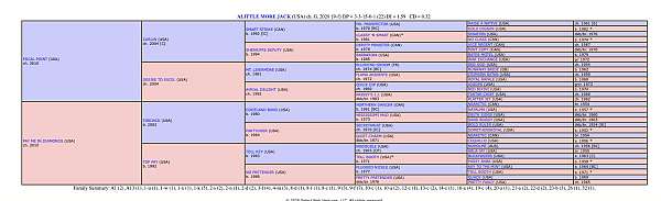 dixieland-band-gelding
