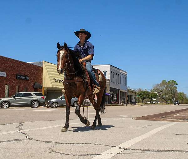 ranch-work-quarter-horse