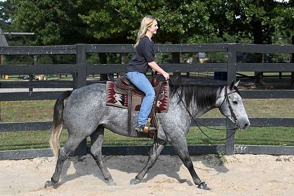 ranch-quarter-horse