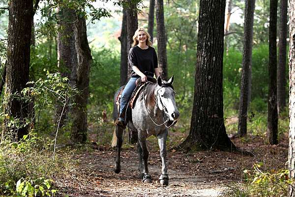 athletic-quarter-horse