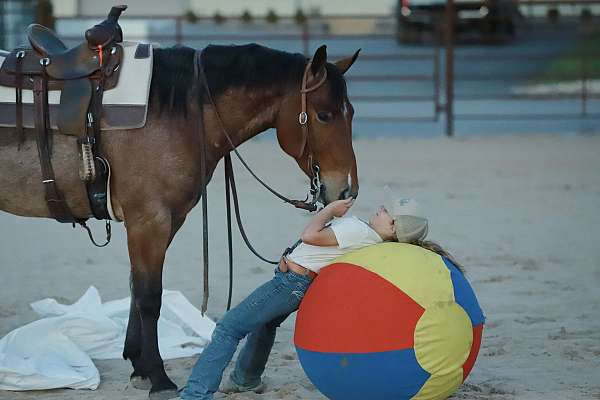 buttons-quarter-horse