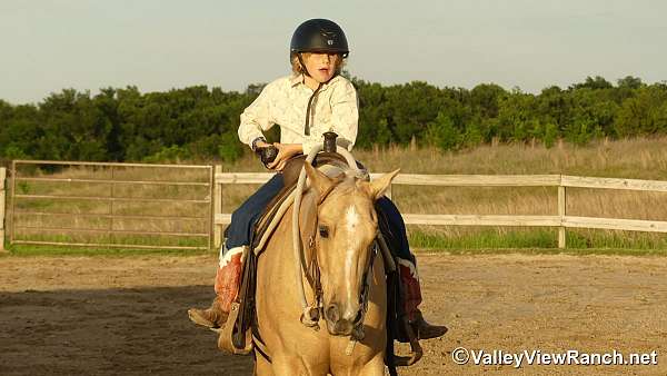 cowboy-mounted-shooting-quarter-horse