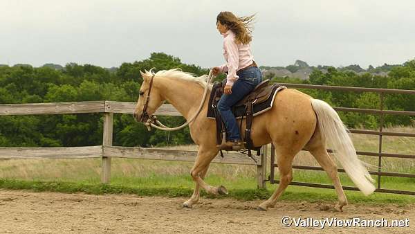 ranch-work-quarter-horse