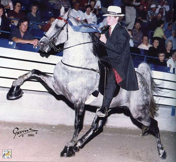 lower-lip-horse