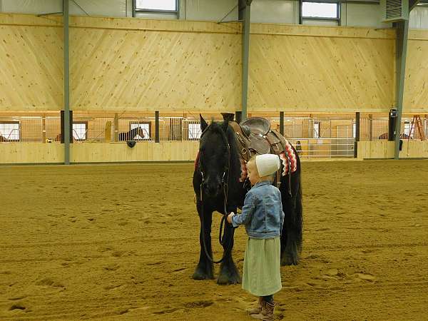 lesson-fell-pony
