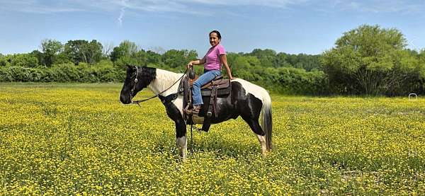 tobiano-see-pictures-horse