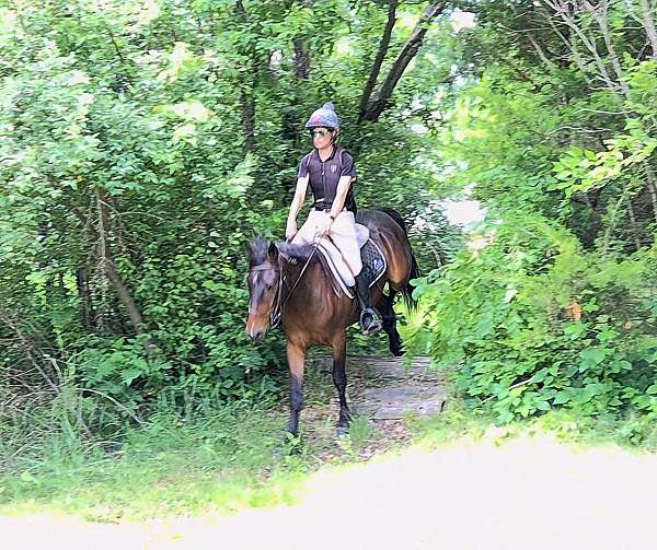 equitation-mustang-horse