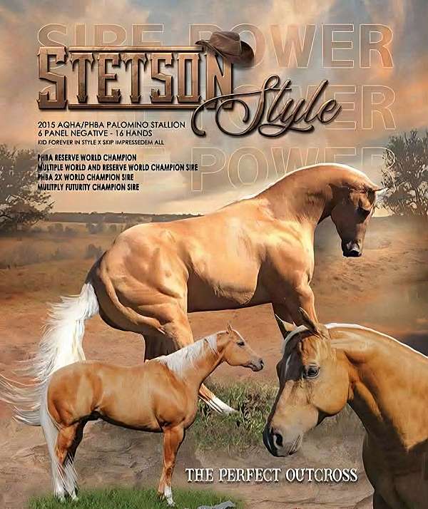 athletic-paint-horse