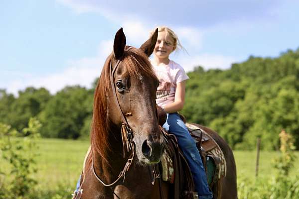 ability-quarter-horse