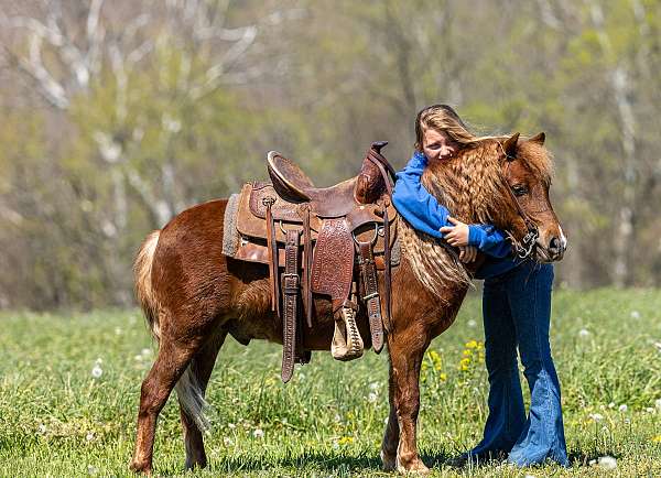 lesson-pony