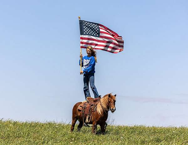 ridden-western-pony