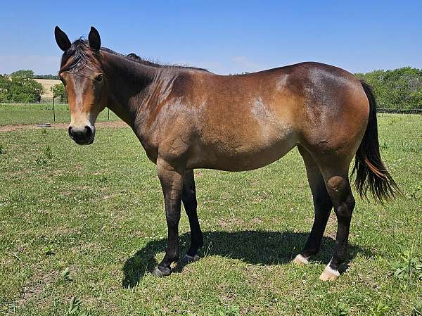 star-2-hind-pastern-pony