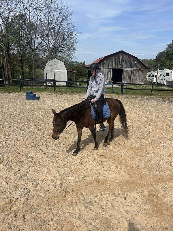 horse-haven