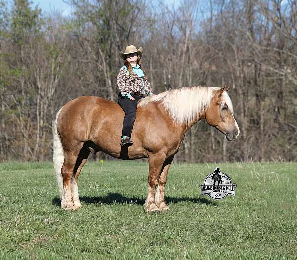 goldenblonde-sorrel-horse