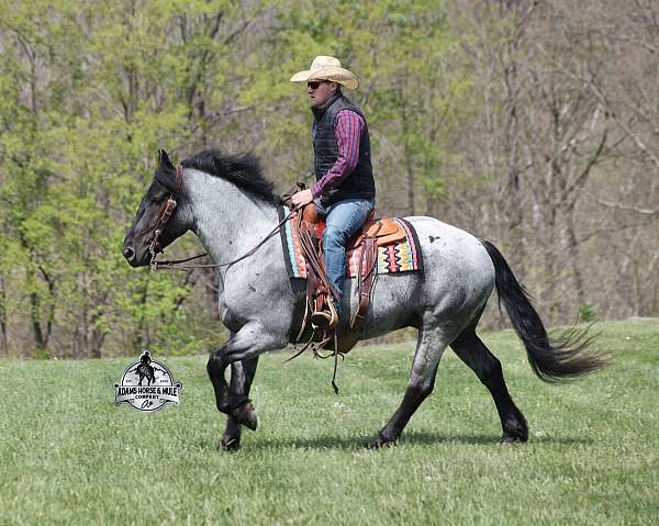 family-horse-draft