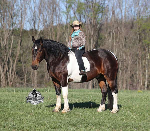 tobiano-horse