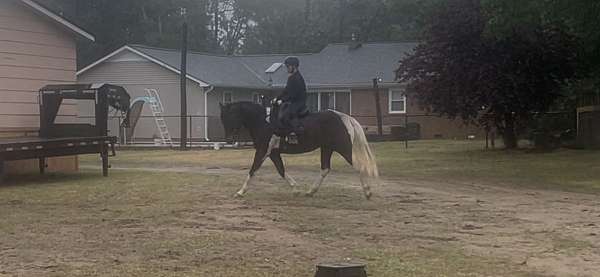 athletic-paint-horse