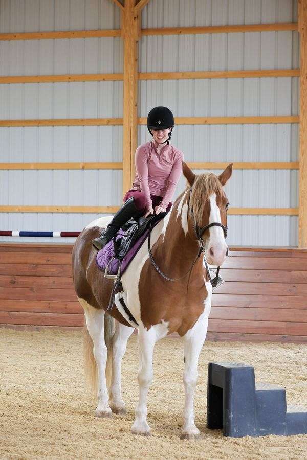 athletic-belgian-horse