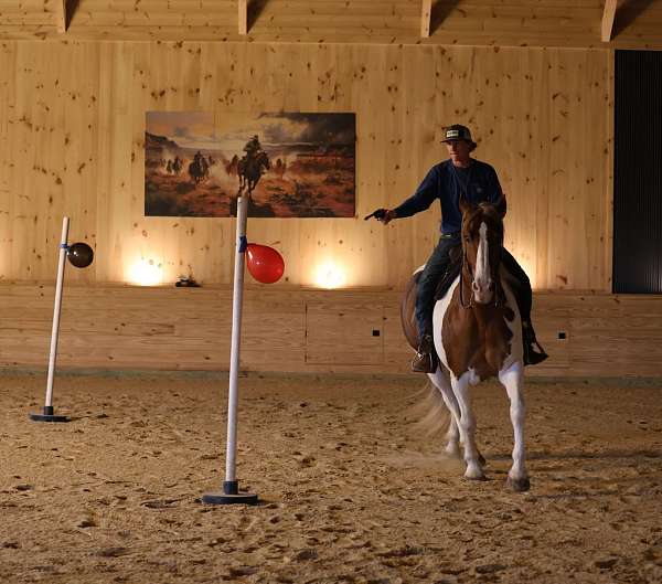 cross-belgian-horse