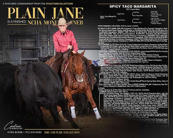 calf-roping-quarter-horse