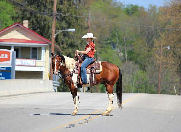 husband-safe-paint-horse