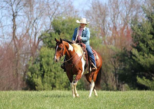 jumping-paint-horse