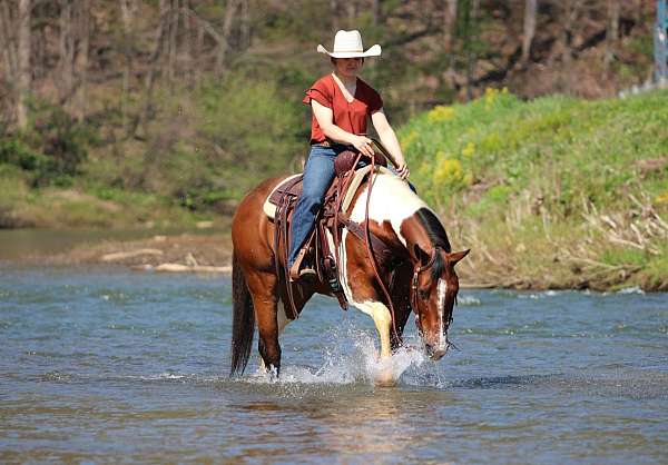 performance-paint-horse