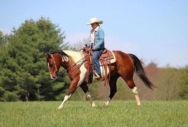 ranch-paint-horse