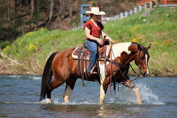 ranch-versatility-paint-horse
