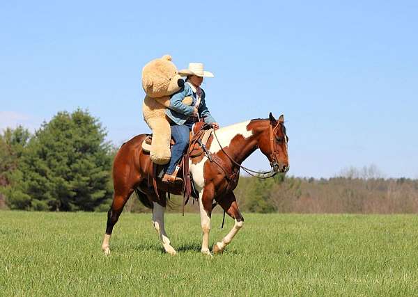 ranch-work-paint-horse