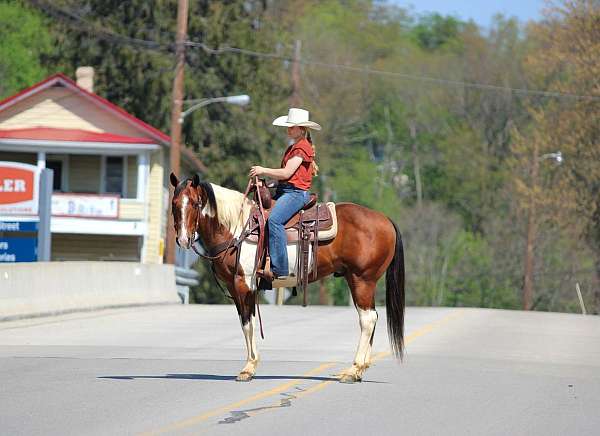 ridden-english-paint-horse