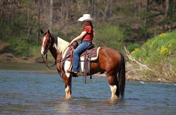 ridden-western-paint-horse