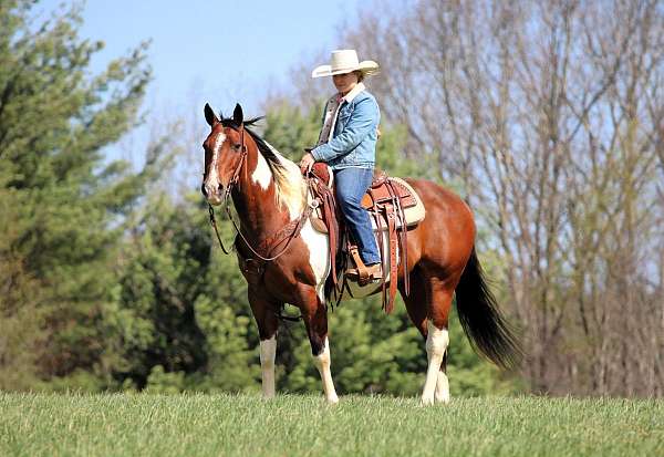 trail-paint-horse