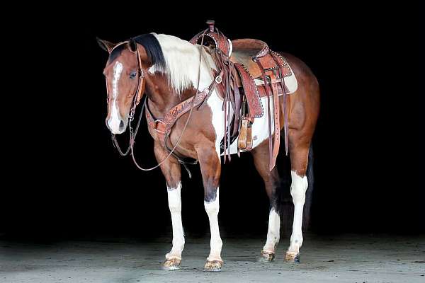 trail-riding-paint-horse