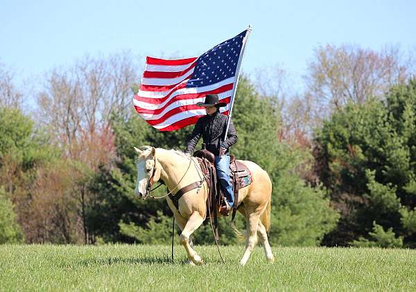 ranch-work-quarter-horse