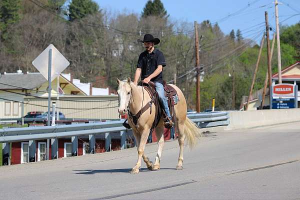 youth-quarter-horse