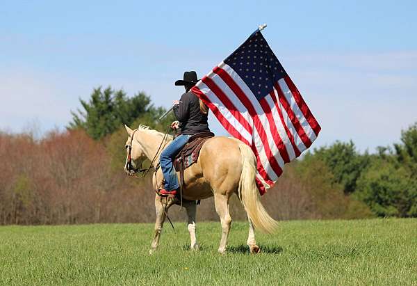 roping-quarter-horse
