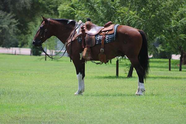cross-draft-horse