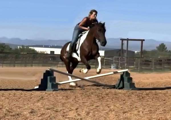 draft-horse