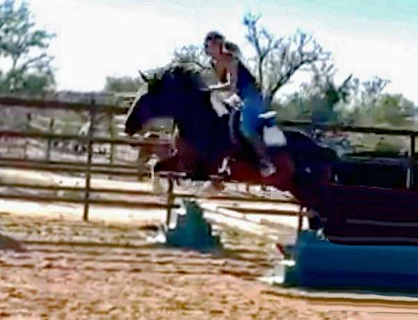 ranch-work-draft-horse