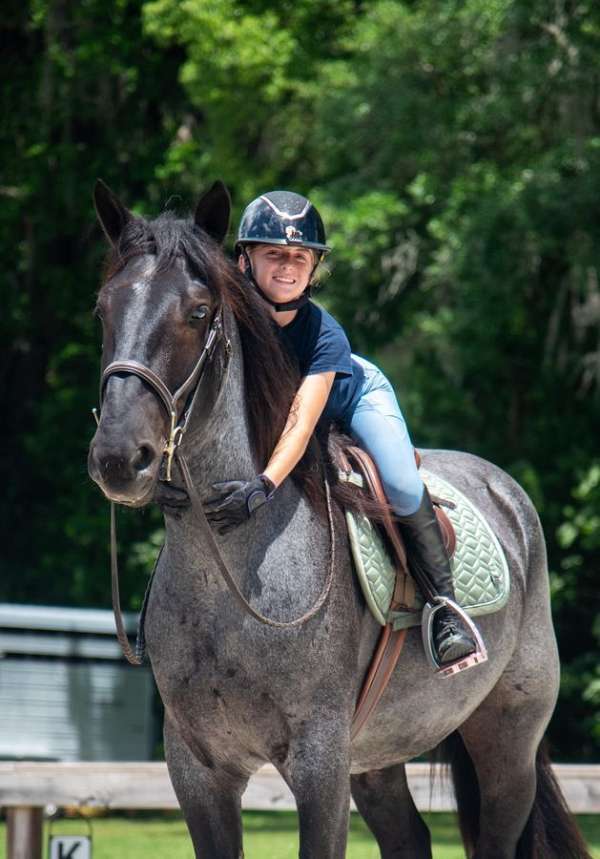 flashy-friesian-horse