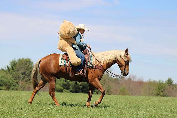 flashy-quarter-horse