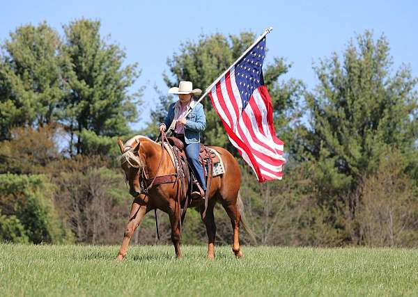 ranch-work-quarter-horse