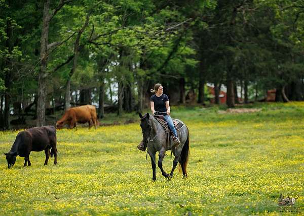 ranch-versatility-quarter-horse