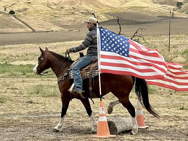 ranch-work-paint-horse