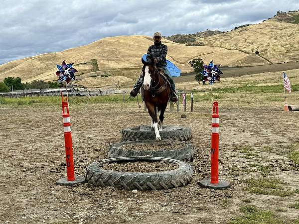 trail-riding-paint-horse