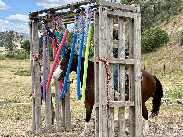 western-riding-paint-horse