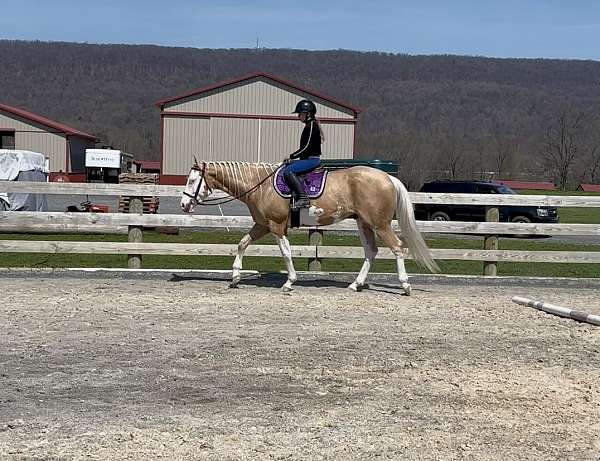 ridden-western-paint-horse
